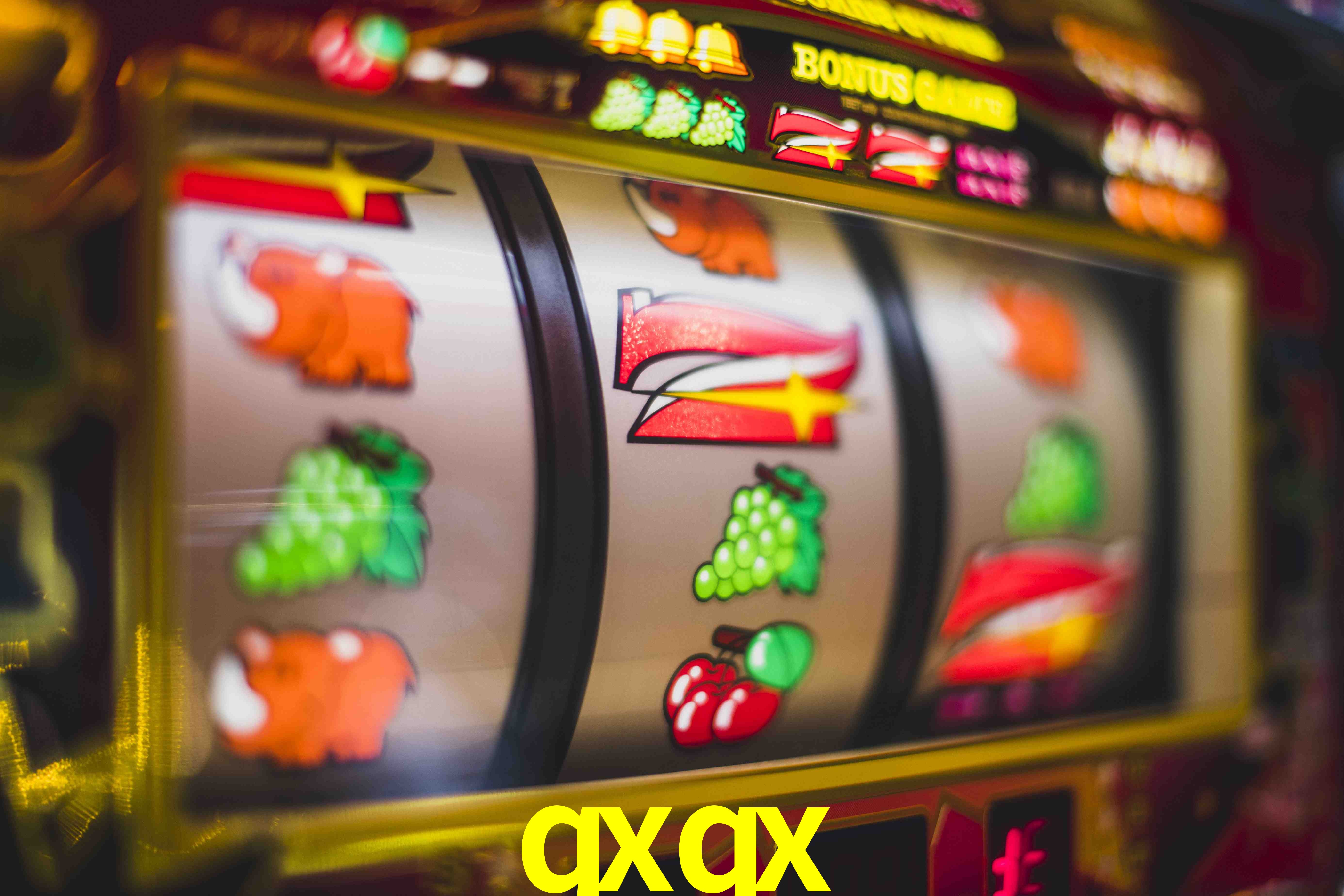 Experiência VIP qxqx